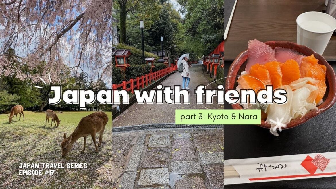 3-Days in KYOTO & NARA: things to do, see and eat | Spring Japan Travel Vlog 🌸 3-Days in KYOTO & NARA: things to do, see and eat | Spring Japan Travel Vlog 🌸