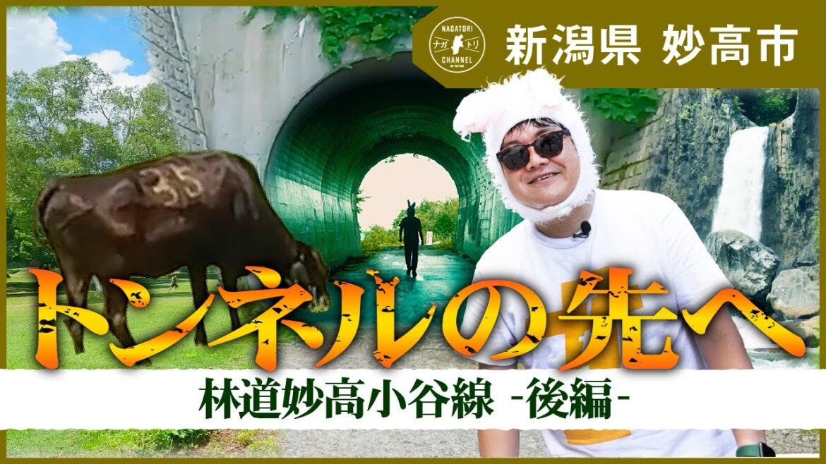【新潟県・妙高市】夏の探検?林道妙高小谷線ドライブ_後編 | ナガトリ 【新潟県・妙高市】夏の探検?林道妙高小谷線ドライブ_後編 | ナガトリ