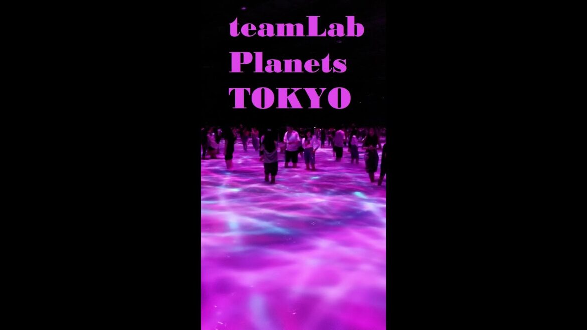 teamLab Planets TOKYO: Where Art and Technology Collide