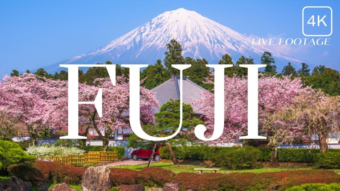 Mount Fuji, Japan #japan #fuji #shorts Mount Fuji, Japan #japan #fuji #shorts