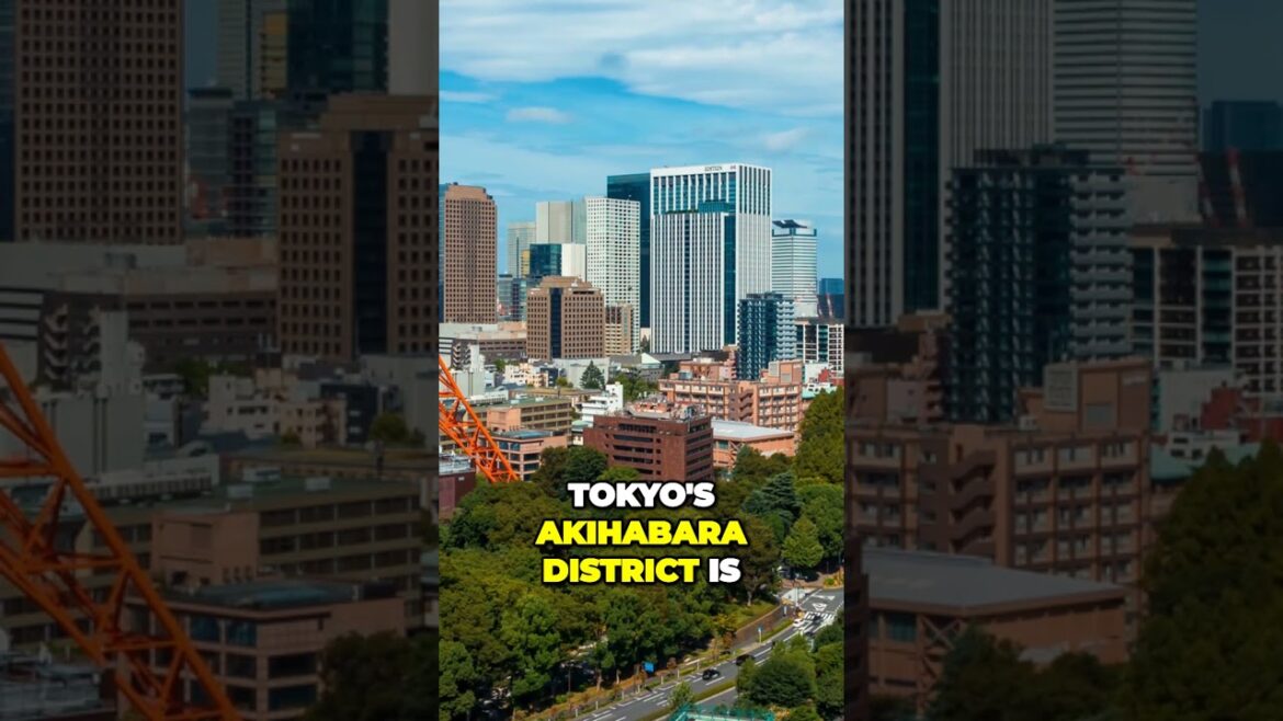 Incredible Japan Where Ancient Traditions Meet Futuristic Innovations #shorts Incredible Japan Where Ancient Traditions Meet Futuristic Innovations #shorts