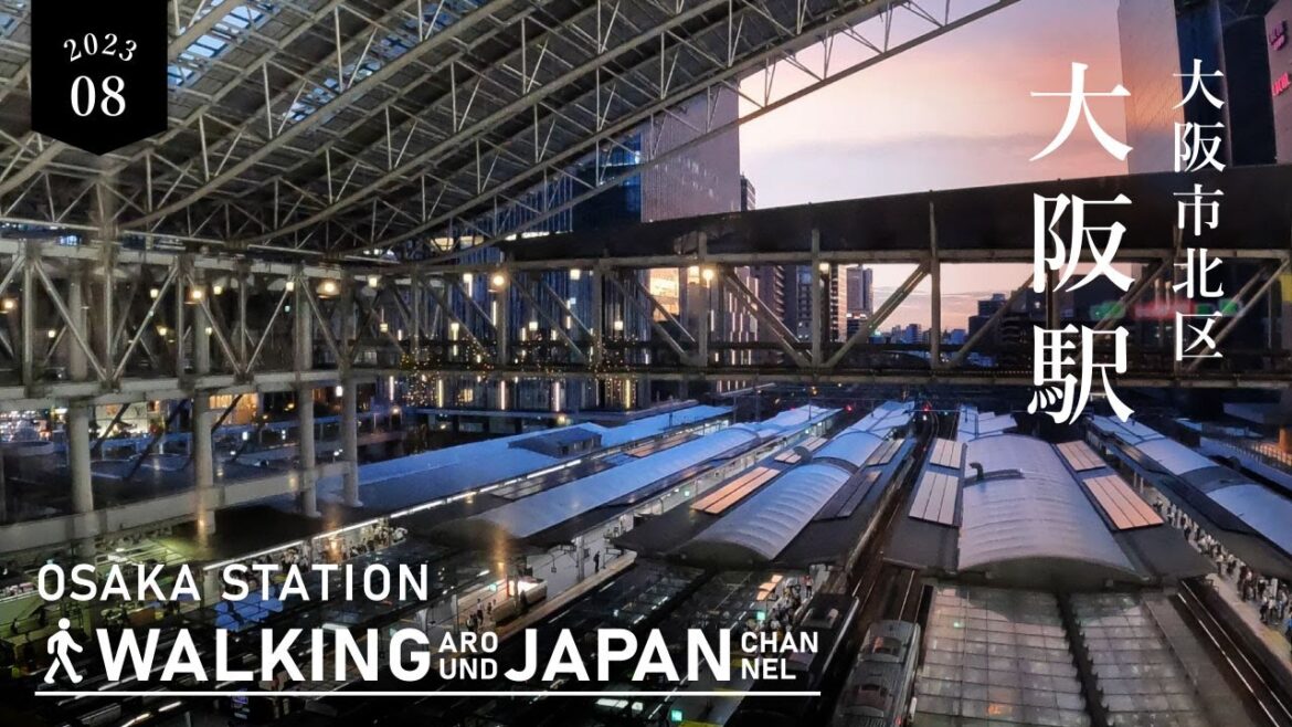【4K/大阪散歩】夜の大阪駅の街歩き NightWalking around Osaka station,Osaka,Japan,2023
