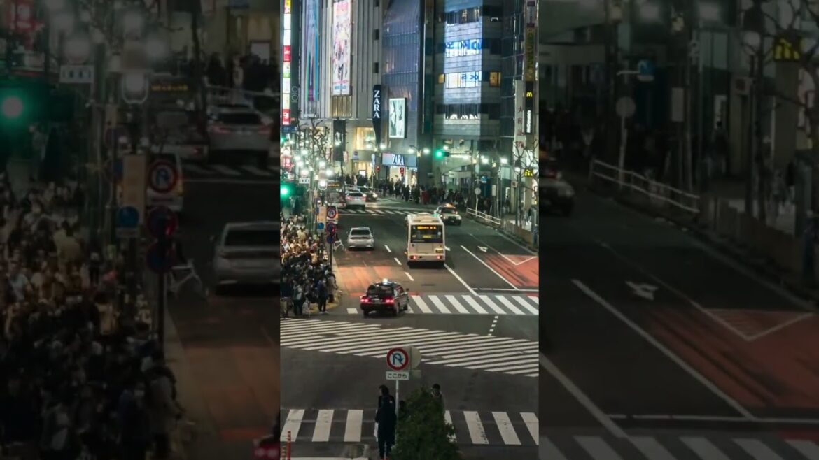 Tokyo – Japan π―π΅ #shorts #drone #aerial #travel #tourventure Tokyo - Japan π―π΅ #shorts #drone #aerial #travel #tourventure