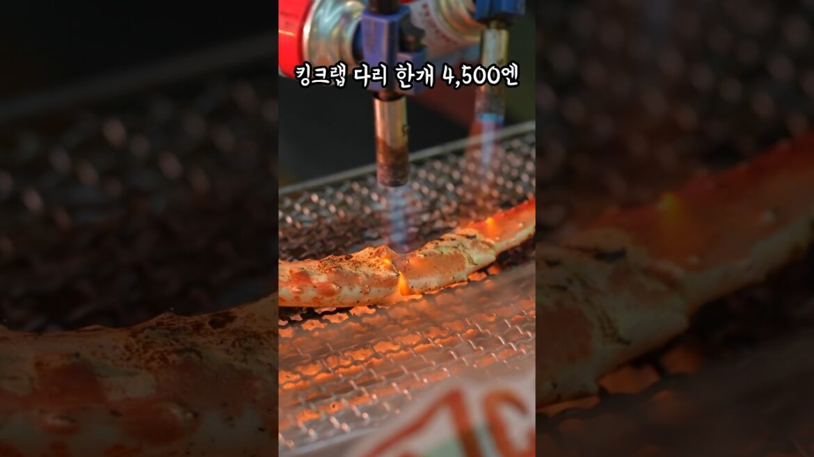 오사카 여행 외국인이 환장하는 구로몬 시장의 진실을 알려 주고 싶다