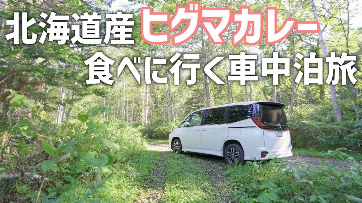 北海道車中泊旅【新型ノア】熊を食べにオホーツク海沿いの道の駅目指してマイナー観光地立ち寄りながら無料のキャンプ場で車中泊 北海道車中泊旅【新型ノア】熊を食べにオホーツク海沿いの道の駅目指してマイナー観光地立ち寄りながら無料のキャンプ場で車中泊