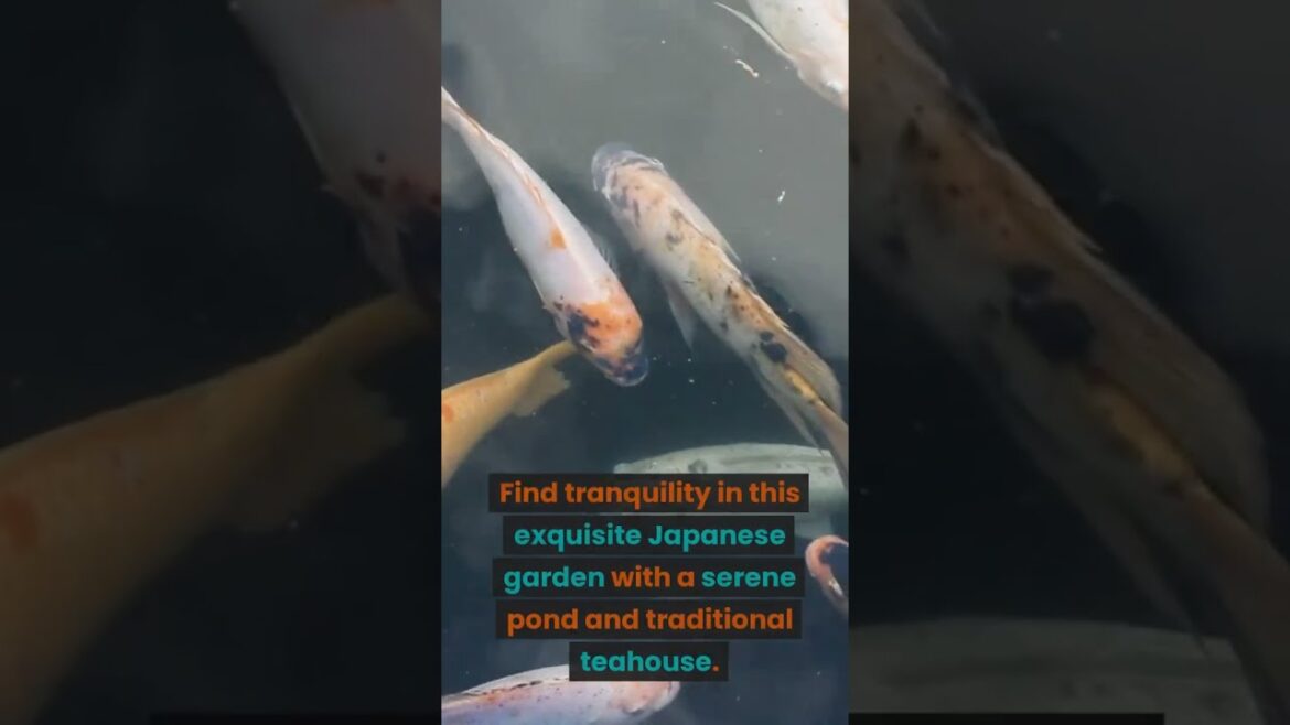 Wondering Hiroshima Top 10 Reasons to Visit in 60 Seconds #shorts Wondering Hiroshima Top 10 Reasons to Visit in 60 Seconds #shorts