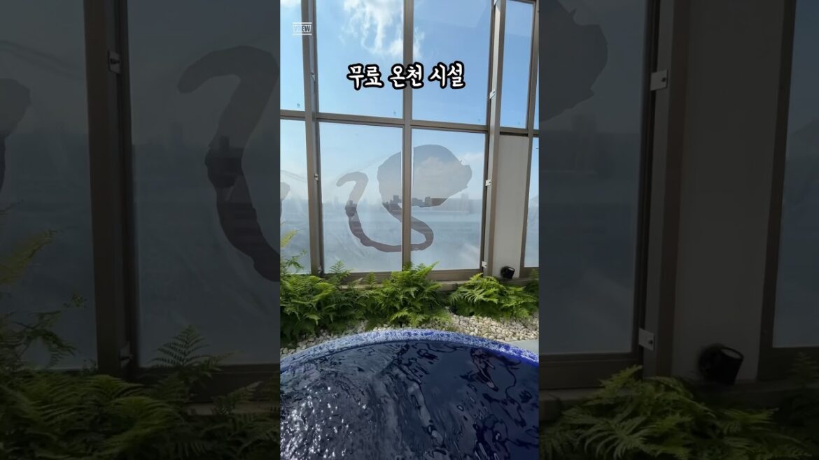 오사카 여행 무료로 갈 수 있는 온천을 알려 주고 싶다