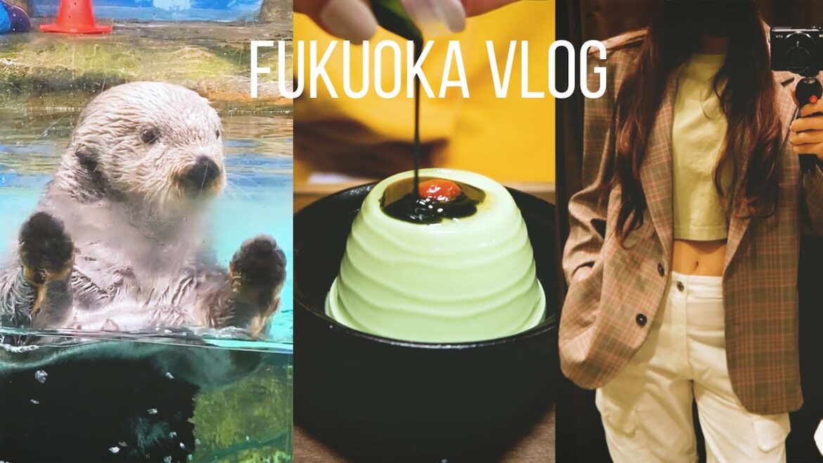 [SUB] 일본 일상 기록 - 자라 세일 득템, 저세상 귀여움 리로짱, 먹고 먹고 또먹는 후쿠오카 여행 브이로그
