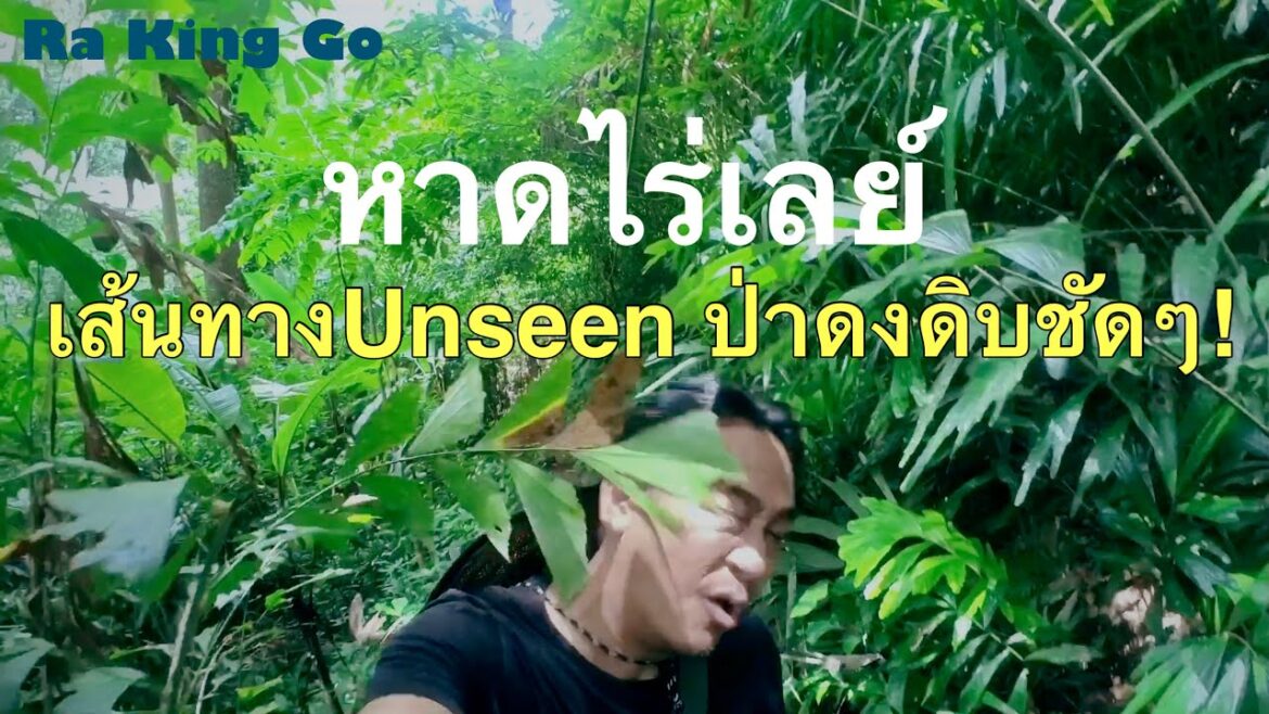 กระบี่ ไร่เลย์ รีวิวเส้นทางลับ  Unseen ลุยป่าข้ามเขา ไปหาดอ่าวต้นไทร สวรรค์ของนักปีนผา