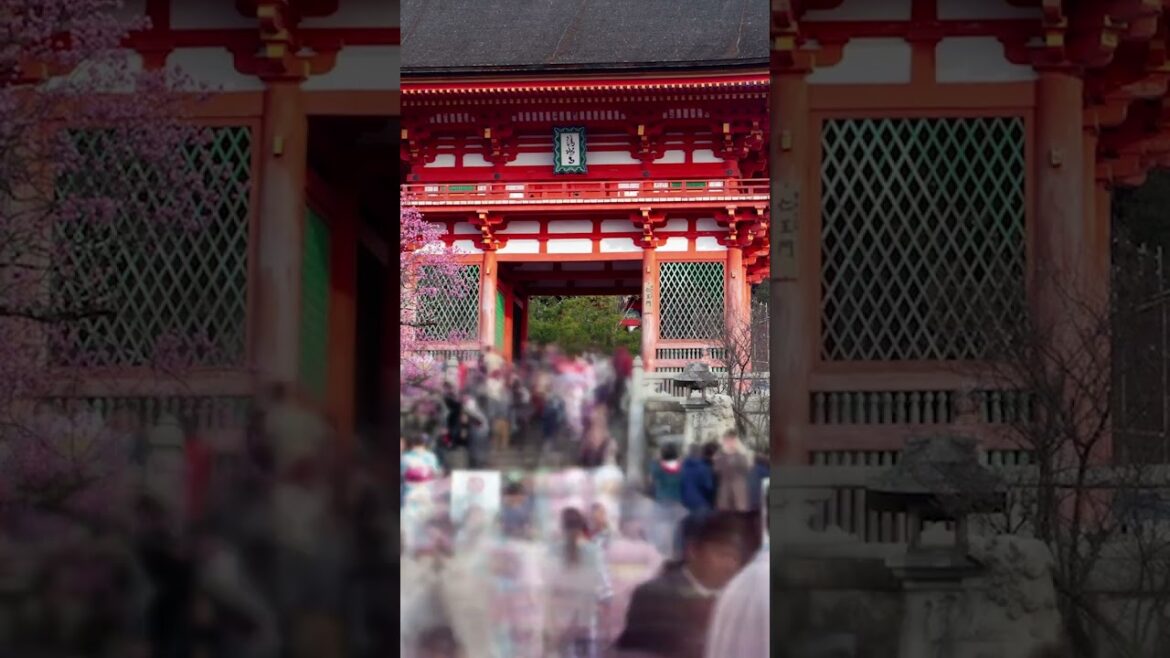 Let’s Go to the “Capital of Peace and Tranquility,” KYOTO, Japan π―π΅ | #shorts Let's Go to the "Capital of Peace and Tranquility," KYOTO, Japan π―π΅ | #shorts