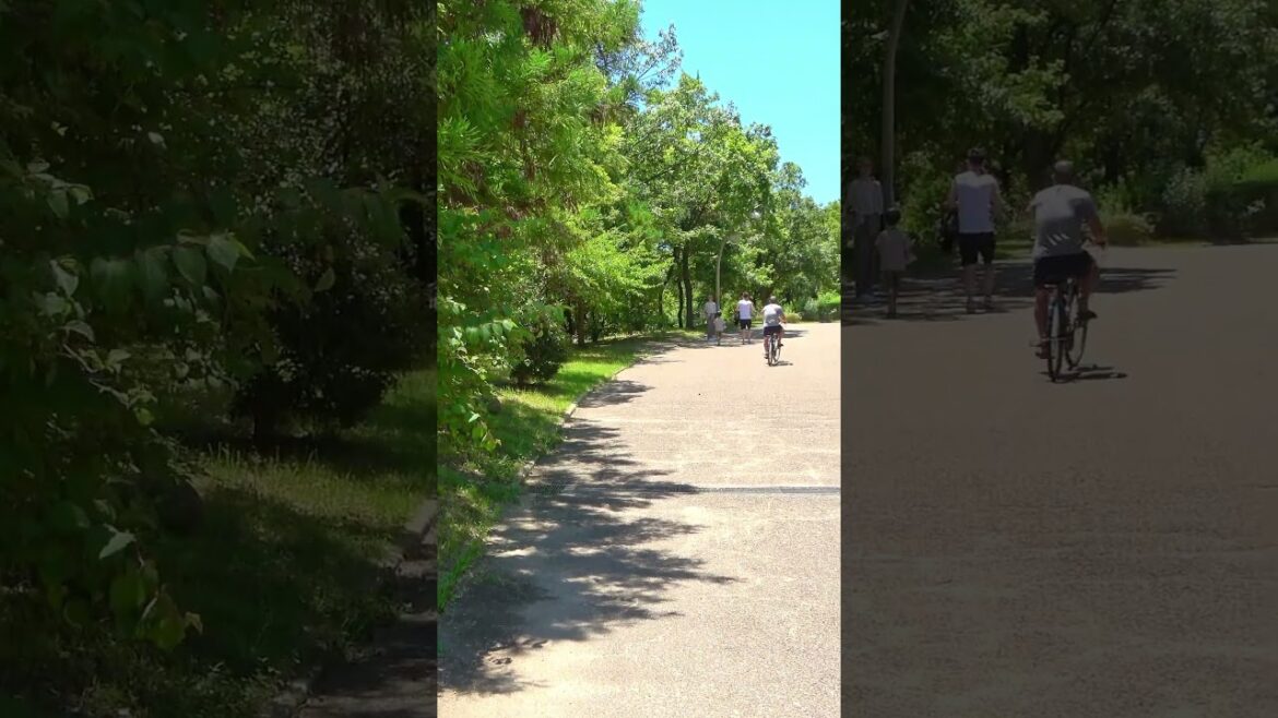 Take a walk in Tsurumi Ryokuchi Park – Osaka – 4 #shorts #walking #japantravel Take a walk in Tsurumi Ryokuchi Park - Osaka - 4 #shorts #walking #japantravel