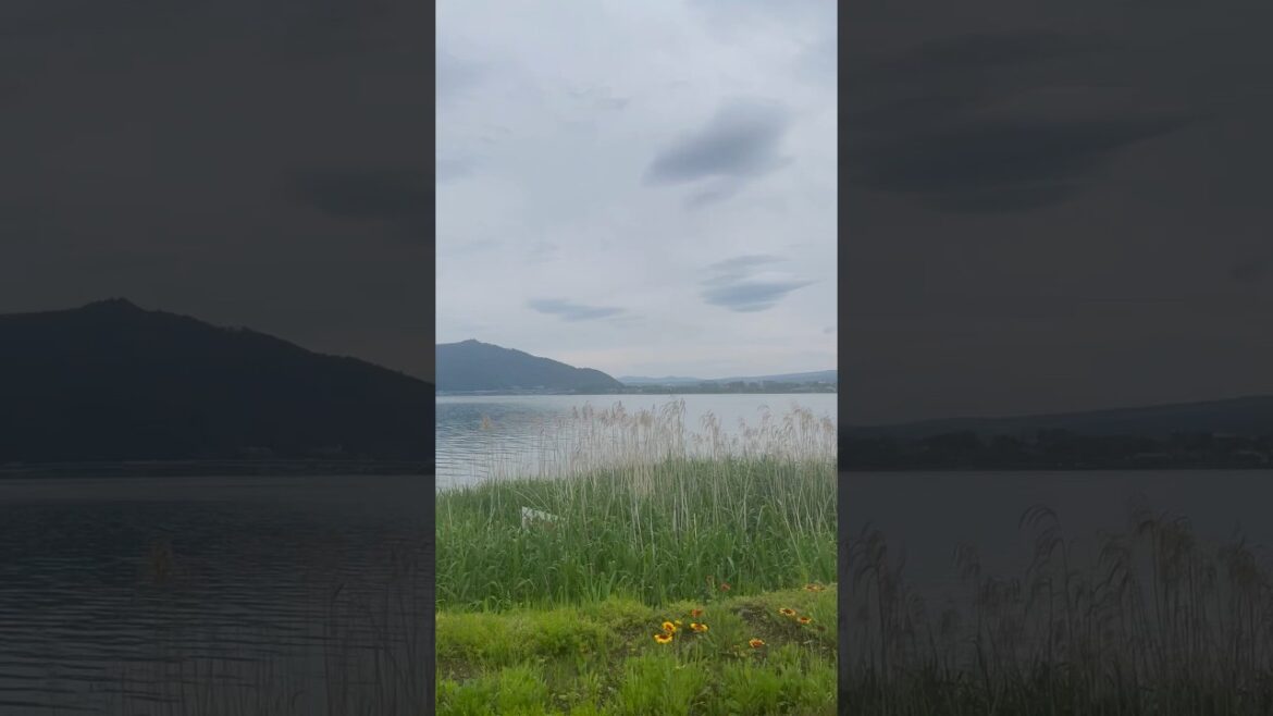 Lake Kawaguchi and Mount Fuji Japan 🇯🇵 #shorts #mountfuji #travel #japan #lakekawaguchi #daytrip