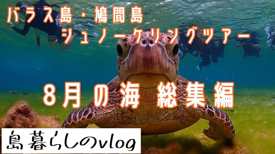 西表島バラス島・鳩間島シュノーケリングツアー/8月総集編/No.237 西表島バラス島・鳩間島シュノーケリングツアー/8月総集編/No.237