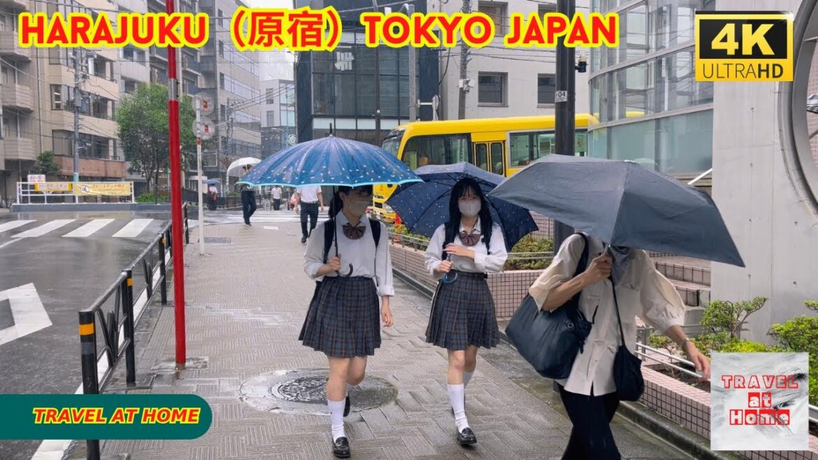 4k hdr japan travel | Light Rain Walk to Harajuku（原宿）Tokyo japan |  Relaxing Natural City ambience
