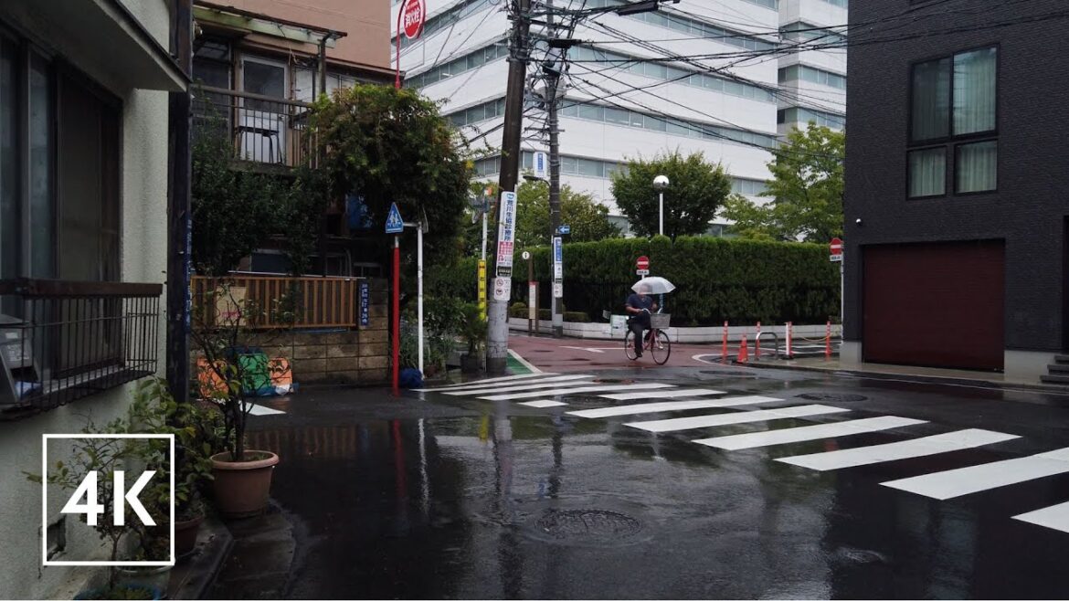 Tokyo Stormy Day Walk [4K] Japan After Heavy Rain