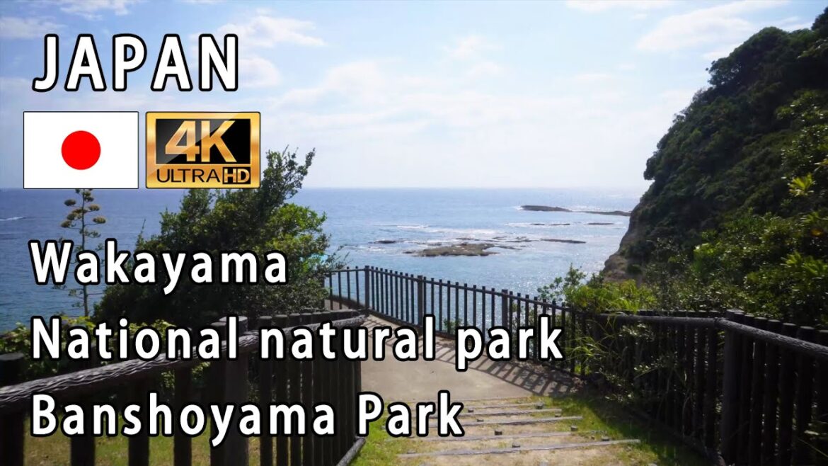 Wakayama  Shirahama　( Banshoyama Park )