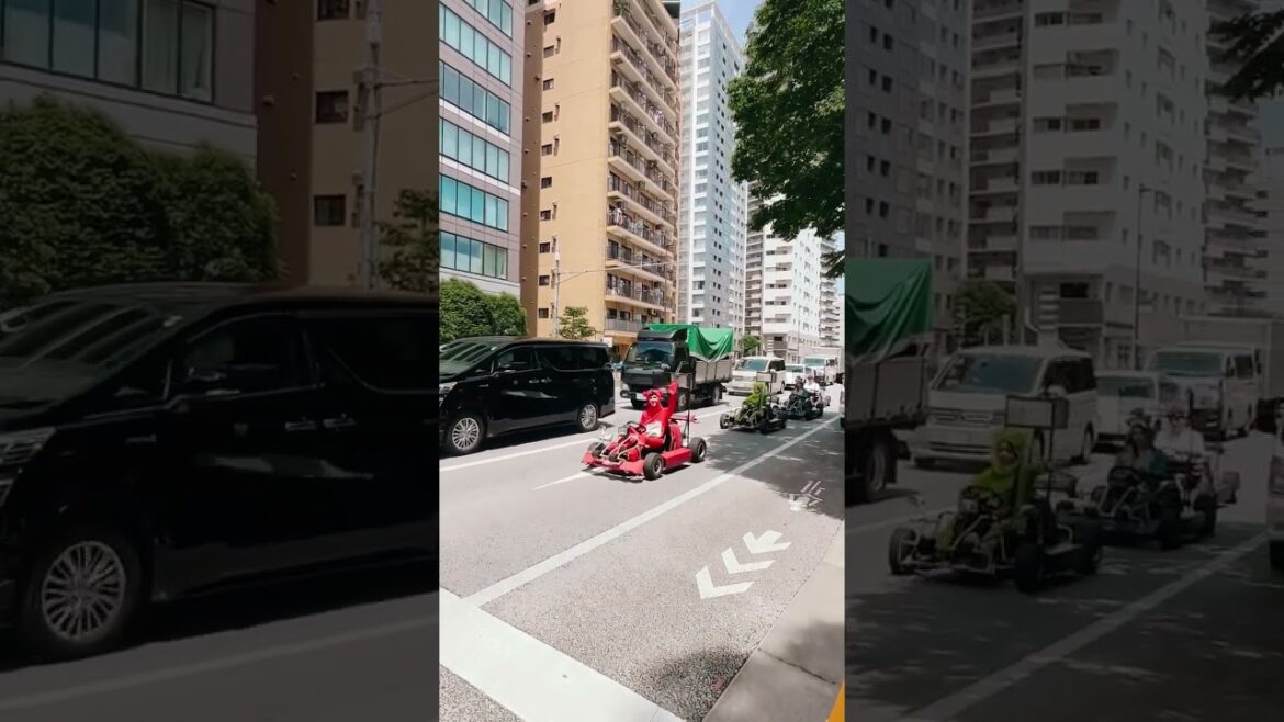 Go-Kart Tour, Tokyo, Japan