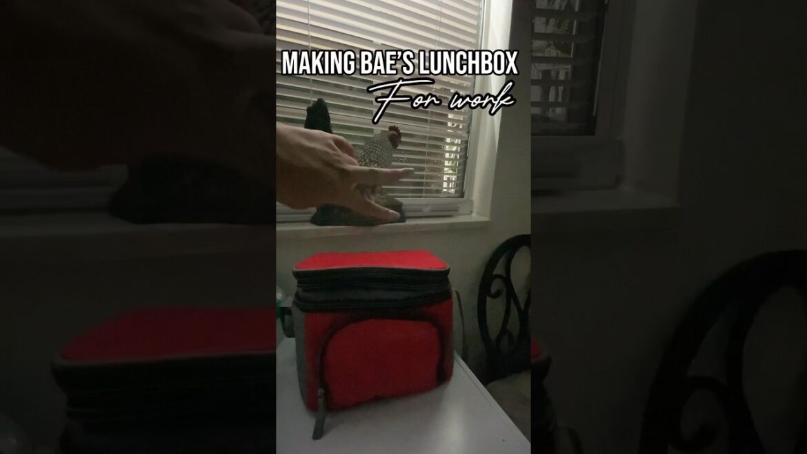 Packing Lunchbox for work #lunchbox #lunch #lunchtime  #lunchboxrecipe