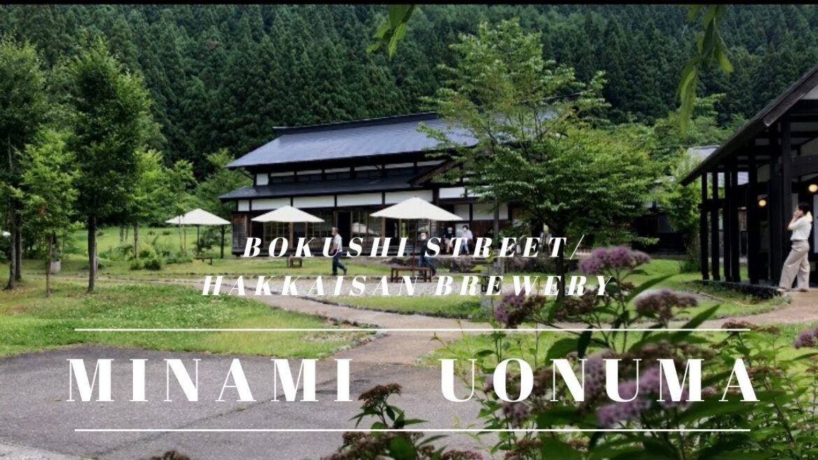 【南魚沼モデルコース】新潟・塩沢宿 牧之通り/八海山醸造/魚沼の里/雲洞庵/上田の郷【Niigata Travel vlog】 Япония/Ниигата 【南魚沼モデルコース】新潟・塩沢宿 牧之通り/八海山醸造/魚沼の里/雲洞庵/上田の郷【Niigata Travel vlog】 Япония/Ниигата