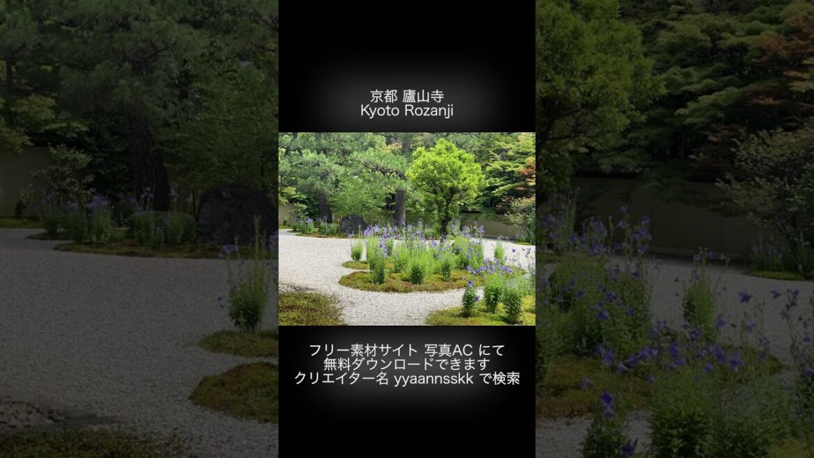 京都 廬山寺 20220708 ①