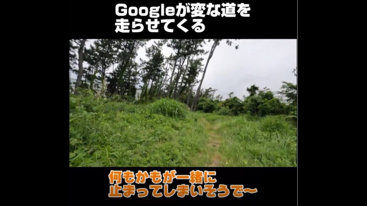 日本一周027日目【静岡県静岡市⇒静岡県沼津市】 #shorts #日本一周 #国内旅行 #キックボード #ギネス記録 #ギネスチャレンジ