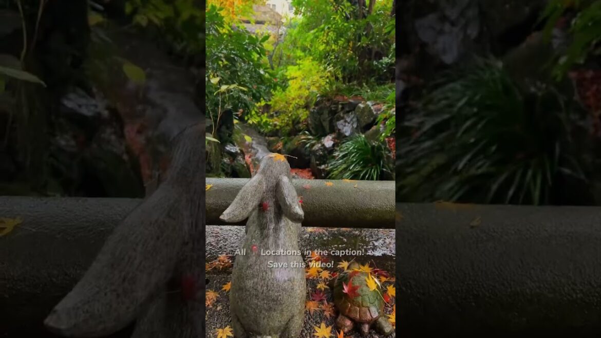 BEST Autumn Spots 📍Japan 🇯🇵 #discovertokyo #tokyoitinerary #japan