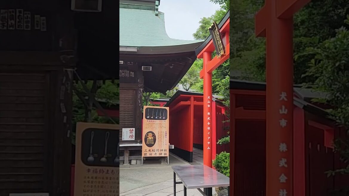 Aichi: Inuyama Castle and Hitsumabushi #japan #travel #japantravel #castle #nagoya