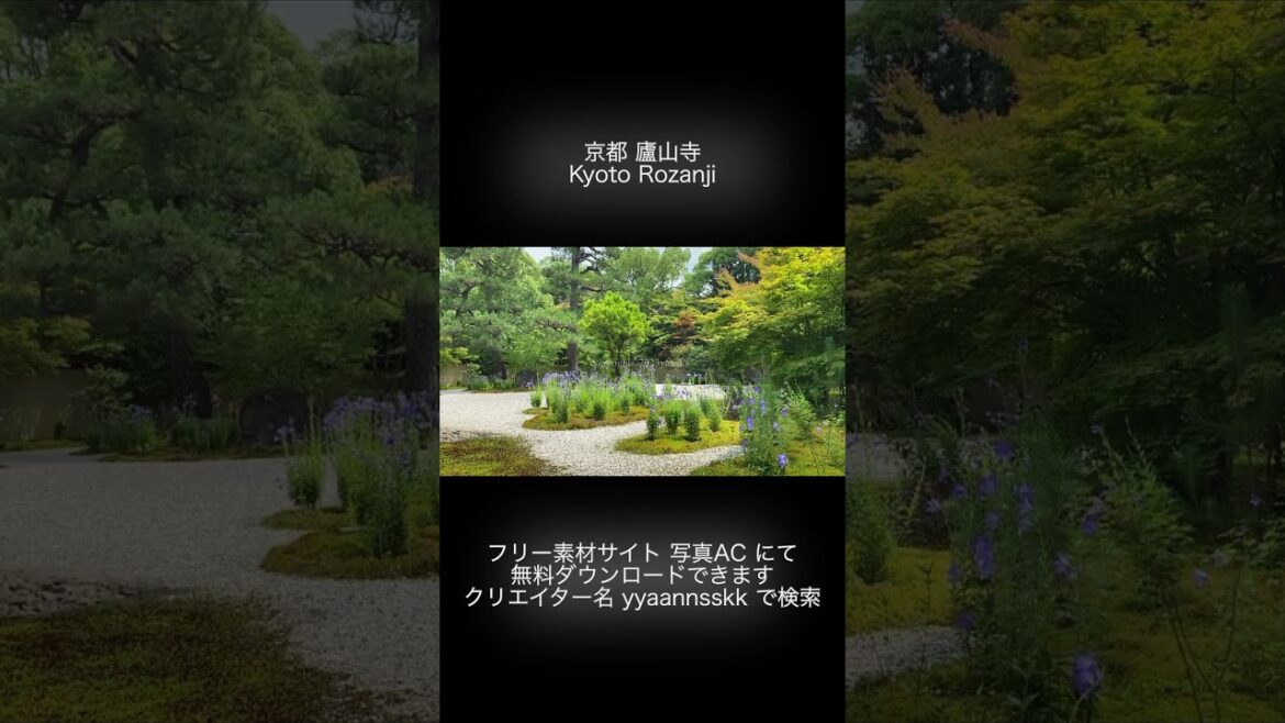 京都 廬山寺 20220708 ② 京都 廬山寺 20220708 ②