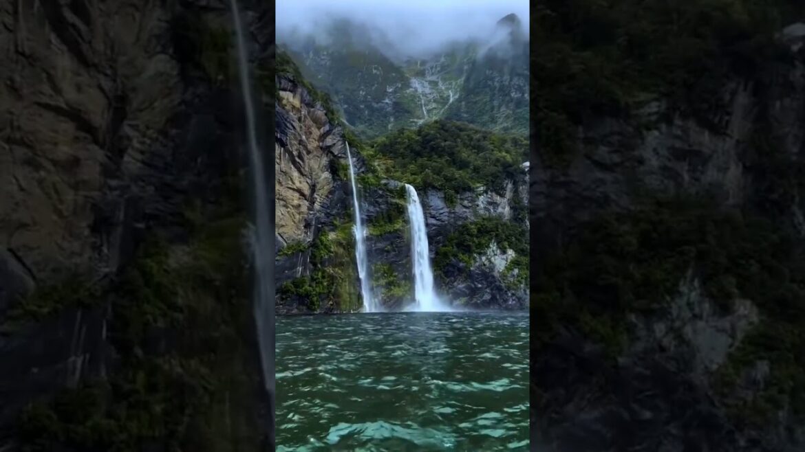 travel vlog #shorts #travelvlog #new travel vlog #shorts #travelvlog #new