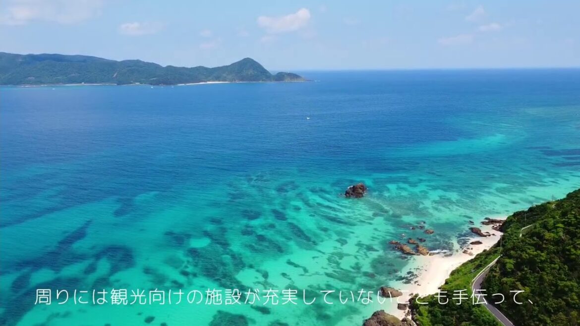 【めだか水産ドローン部】まさに奄美ブルー。奄美大島の美しい海を空撮しました【DJI MINI2】