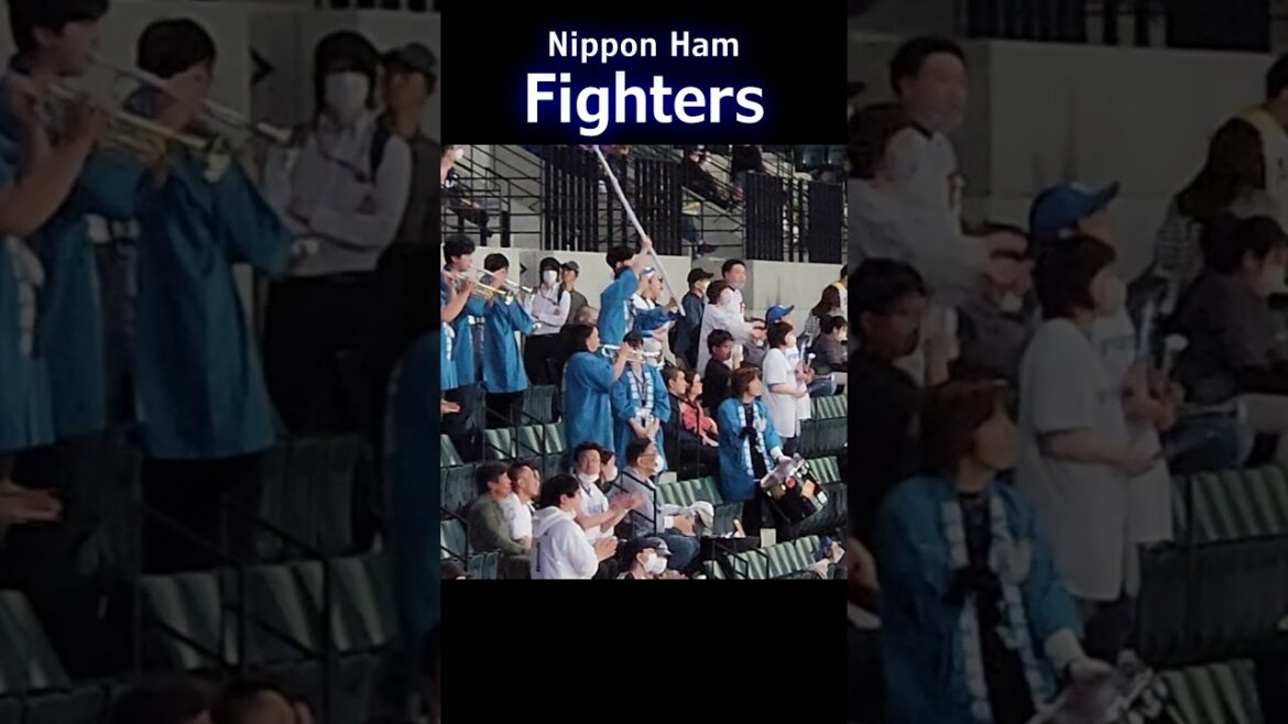 Hokkaido: First NPB Game #japan #travel #japantravel #baseball #npb #sports