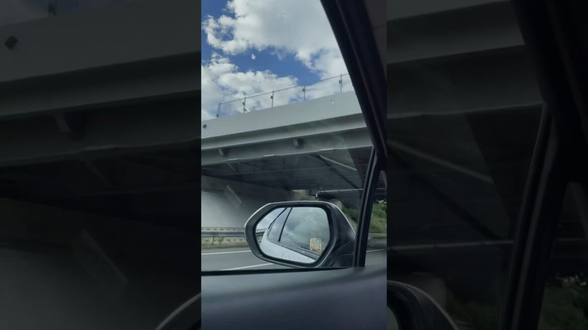 【#思思賢嘆世界】京都自由行2023✈️琵琶湖自駕遊 #shorts #shortsfeed #driving #drive #japan #travel #travelvlog #kyoto 【#思思賢嘆世界】京都自由行2023✈️琵琶湖自駕遊 #shorts #shortsfeed #driving #drive #japan #travel #travelvlog #kyoto