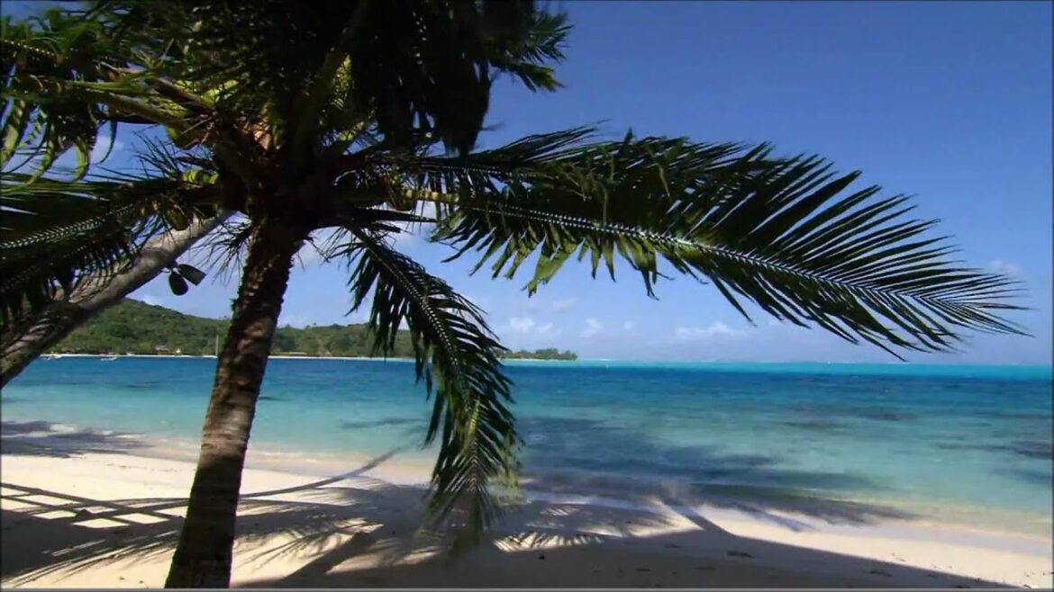 Bora Bora video 1 in Full HD by videocomitalia.it