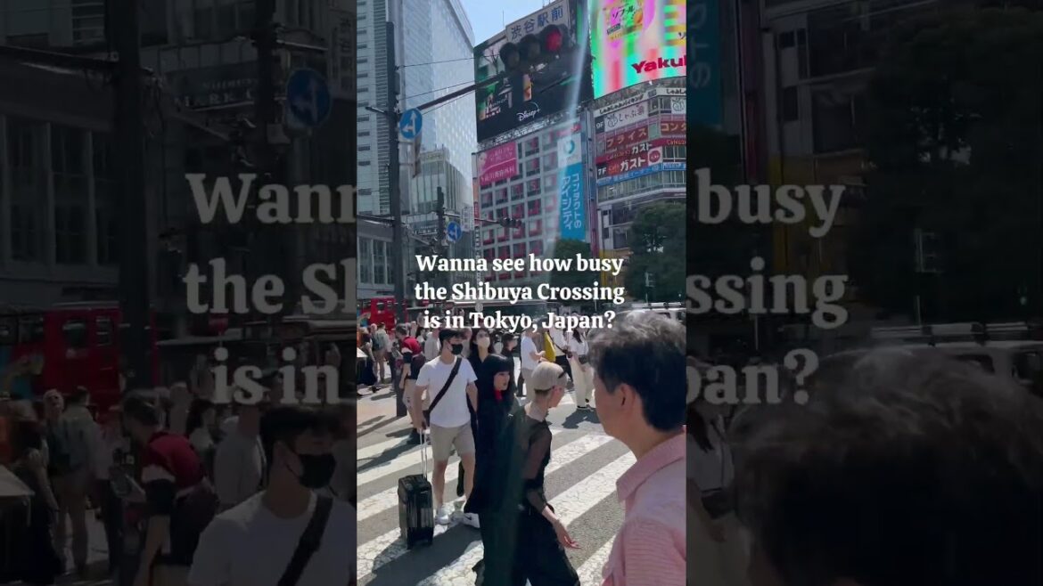 Shibuya Crossing in Tokyo Japan #tokyo #travel #vlog #shibuya Shibuya Crossing in Tokyo Japan #tokyo #travel #vlog #shibuya