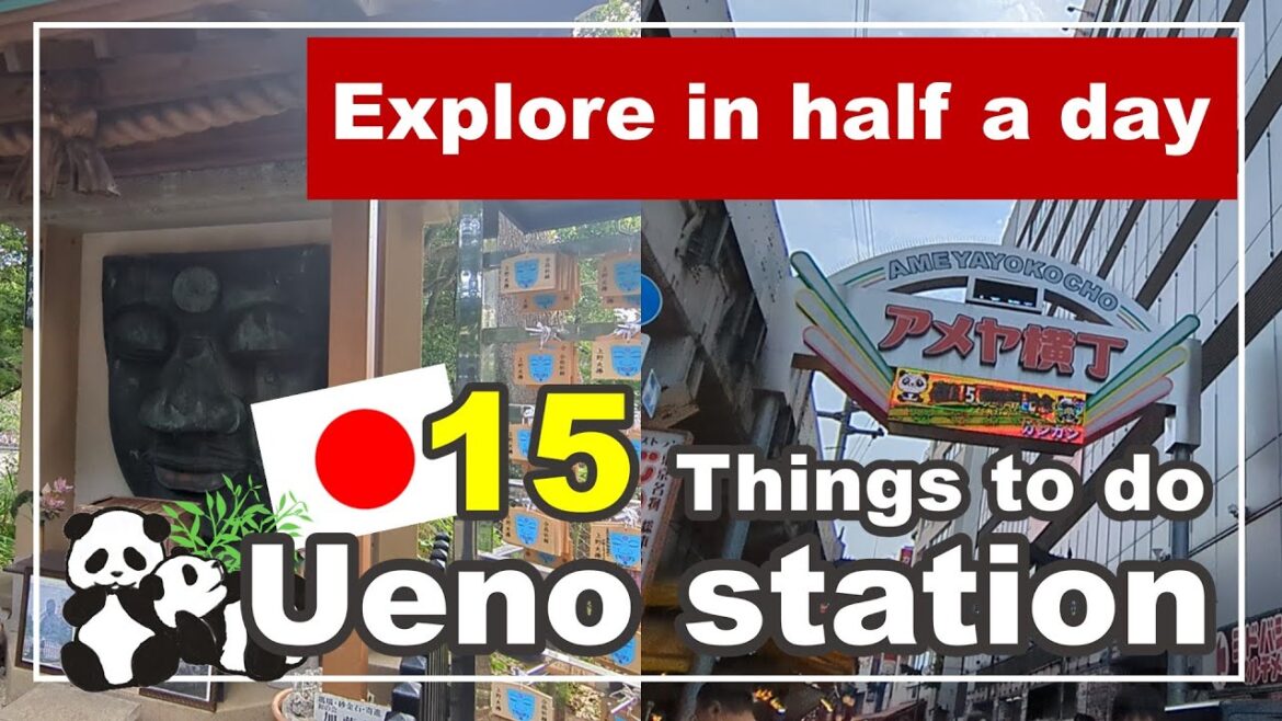 【Japan Vlog】 15 things to do around Ueno Station : Within a 10-minute walk (Tokyo Travel) 【Japan Vlog】 15 things to do around Ueno Station : Within a 10-minute walk (Tokyo Travel)