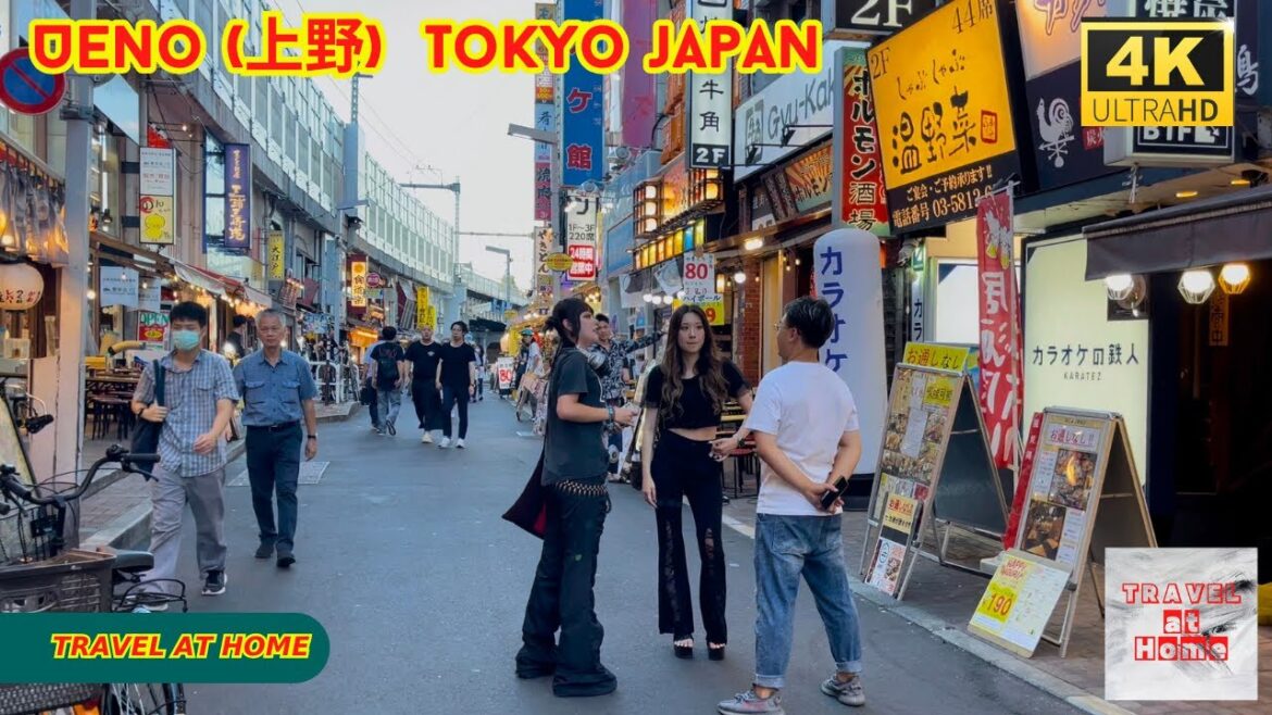 4k hdr japan travel | Walk in Ueno (上野) Tokyo japan | Relaxing Natural City ambience 4k hdr japan travel | Walk in Ueno (上野) Tokyo japan | Relaxing Natural City ambience
