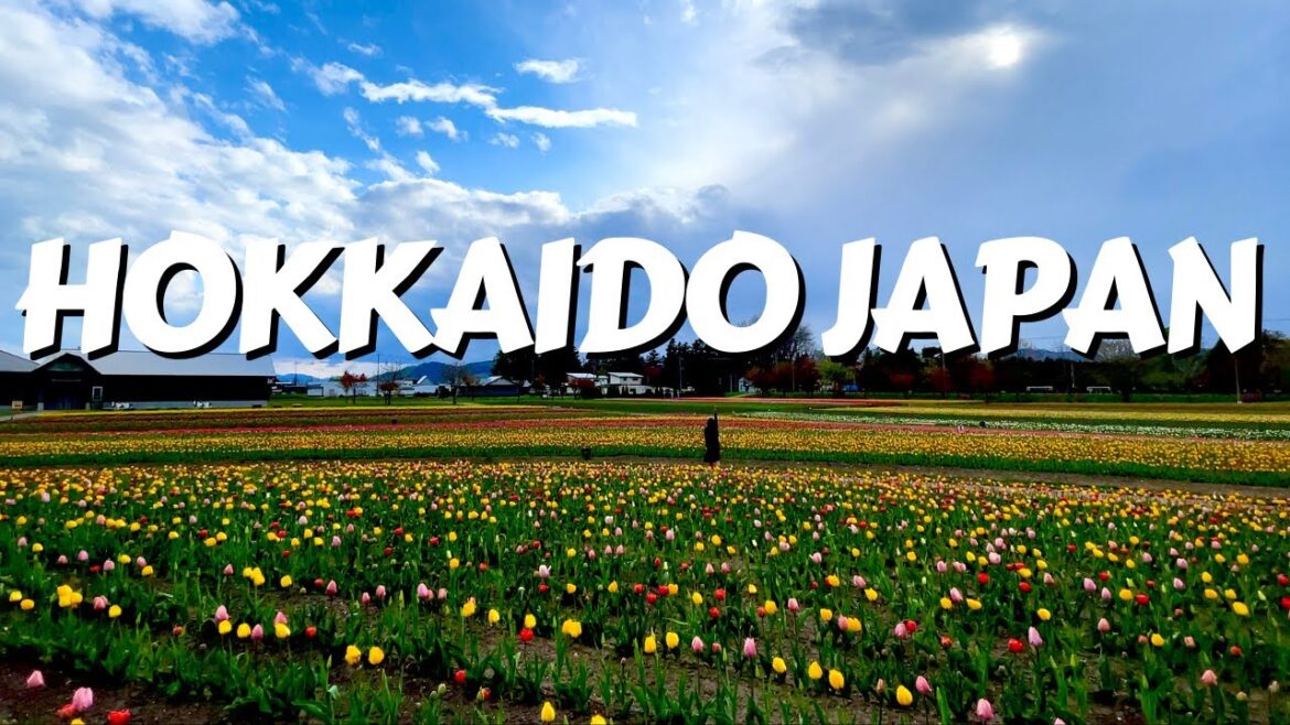 8 HOKKAIDO SCENIC GEMS 8 HOKKAIDO SCENIC GEMS