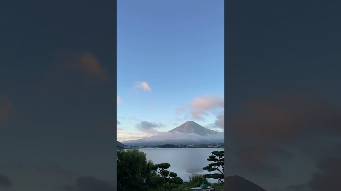 Fuji view from the best hotel 🇯🇵🗻 #mtfuji #japantravel #kawaguchiko #fyp #ryokanwithview