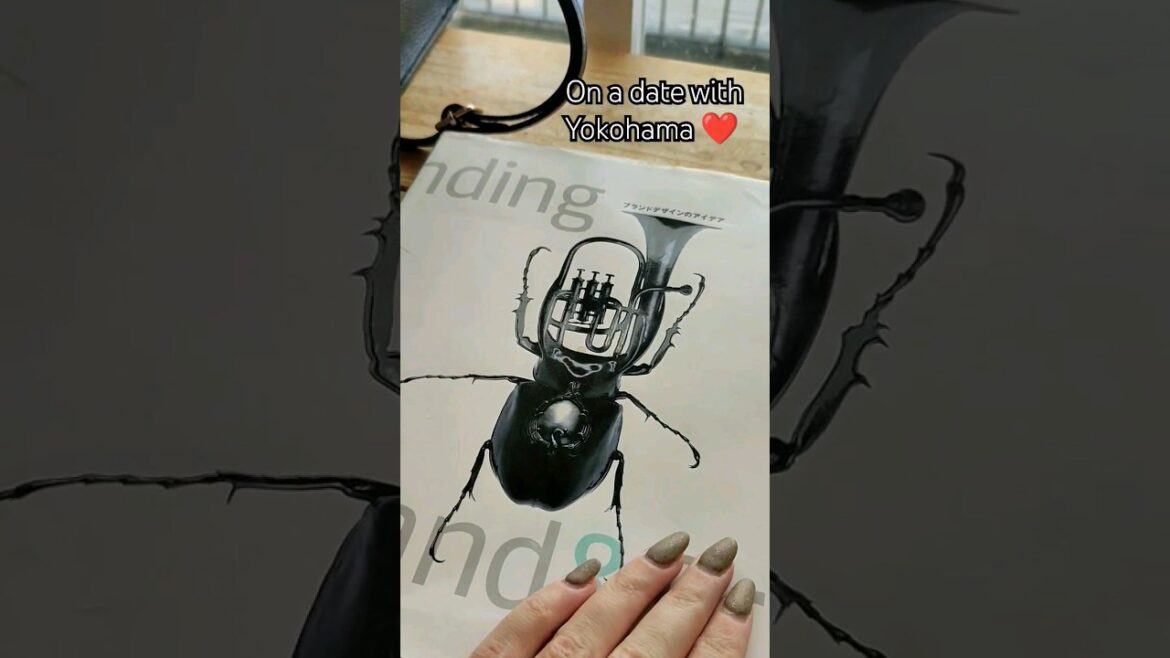 My favourite place in Japan - Yokohama ❤️🤍❤️ #travel #japan #travel