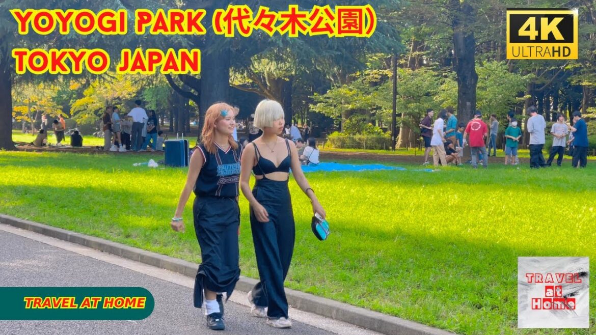 4k hdr japan travel | Walk in Yoyogi Park (代々木公園)Tokyo japan | Relaxing Natural City ambience 4k hdr japan travel | Walk in Yoyogi Park (代々木公園)Tokyo japan | Relaxing Natural City ambience