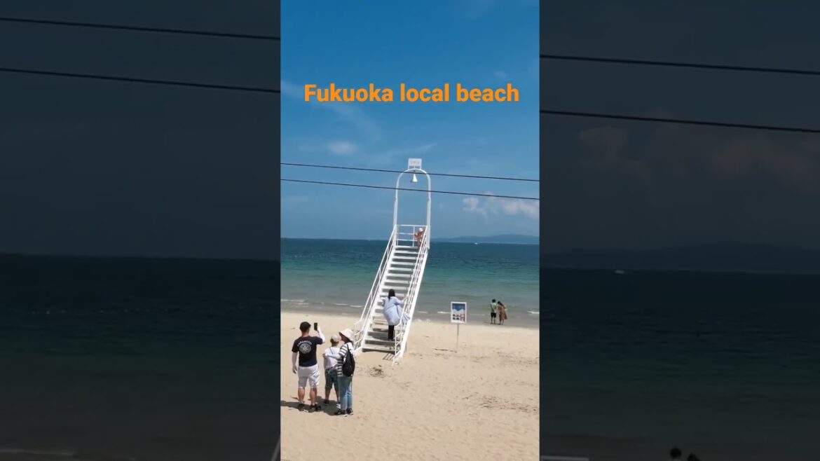 후쿠오카 해수욕장_폼미츳다이