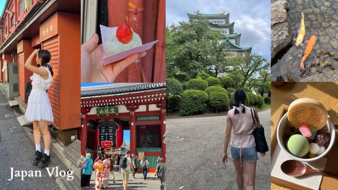 JAPAN VLOG: Tokyo | Ginza, Asakusa, Ameyoko Ueno, Nagoya Castle, Shopping, Cafes, Restaurants ๐ฏ๐ต ๐ต ๐ธ JAPAN VLOG: Tokyo | Ginza, Asakusa, Ameyoko Ueno, Nagoya Castle, Shopping, Cafes, Restaurants ๐ฏ๐ต ๐ต ๐ธ