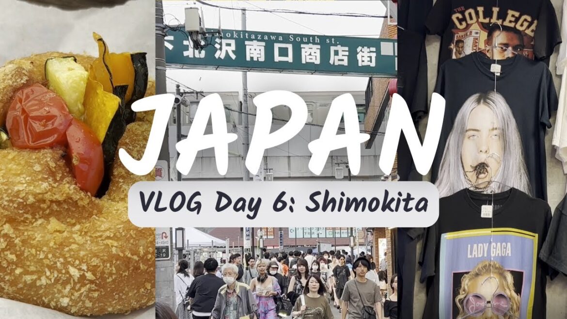 Japan Vacation VLOG: Day 6 – Shimokitazawa | Vintage Shopping | Band Tees | Vegan Bakery | Arcades Japan Vacation VLOG: Day 6 - Shimokitazawa | Vintage Shopping | Band Tees | Vegan Bakery | Arcades