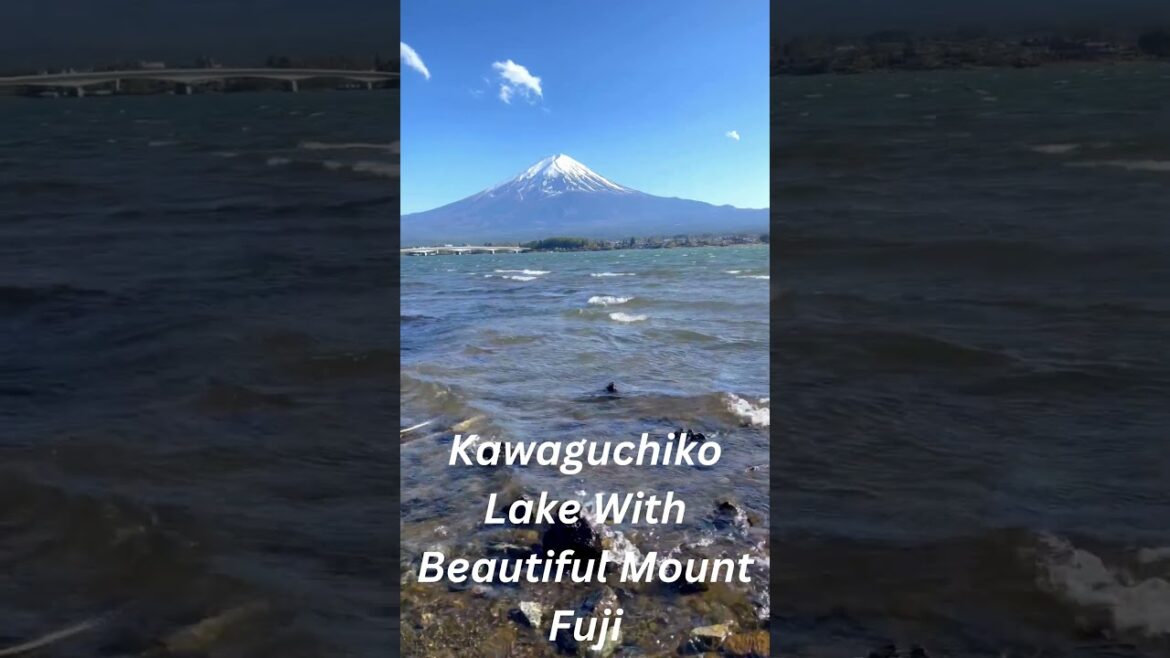 Kawaguchiko Lake With Beautiful Mount Fuji #shorts #viral #shortvideo