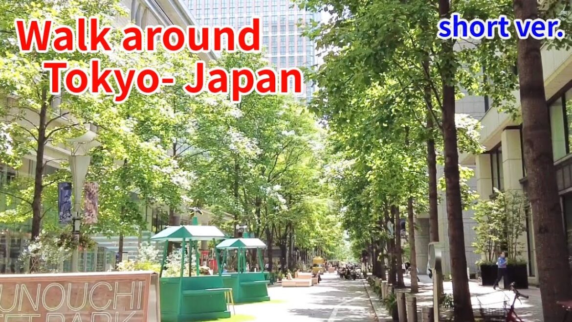 Walking around Tokyo Japan! In Marunouchi short ver. (Travel vlog HD 1080p 60fps full movie tour) Walking around Tokyo Japan! In Marunouchi short ver. (Travel vlog HD 1080p 60fps full movie tour)