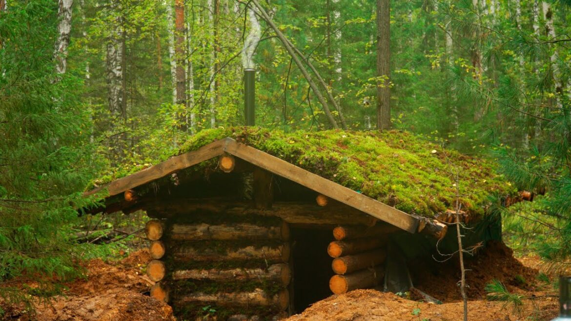 Survival shelter building ASMR, A log cabin in the wilderness