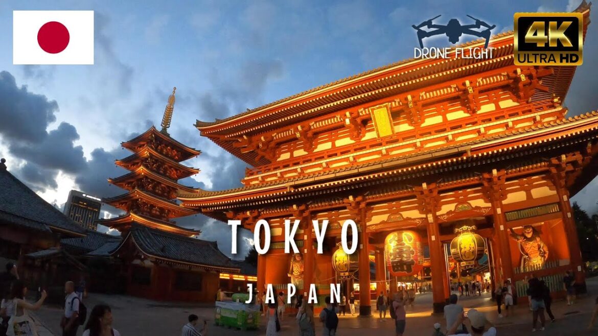 東京 Tokyo, Japan 🇯🇵 | Travel Vlog [4K]