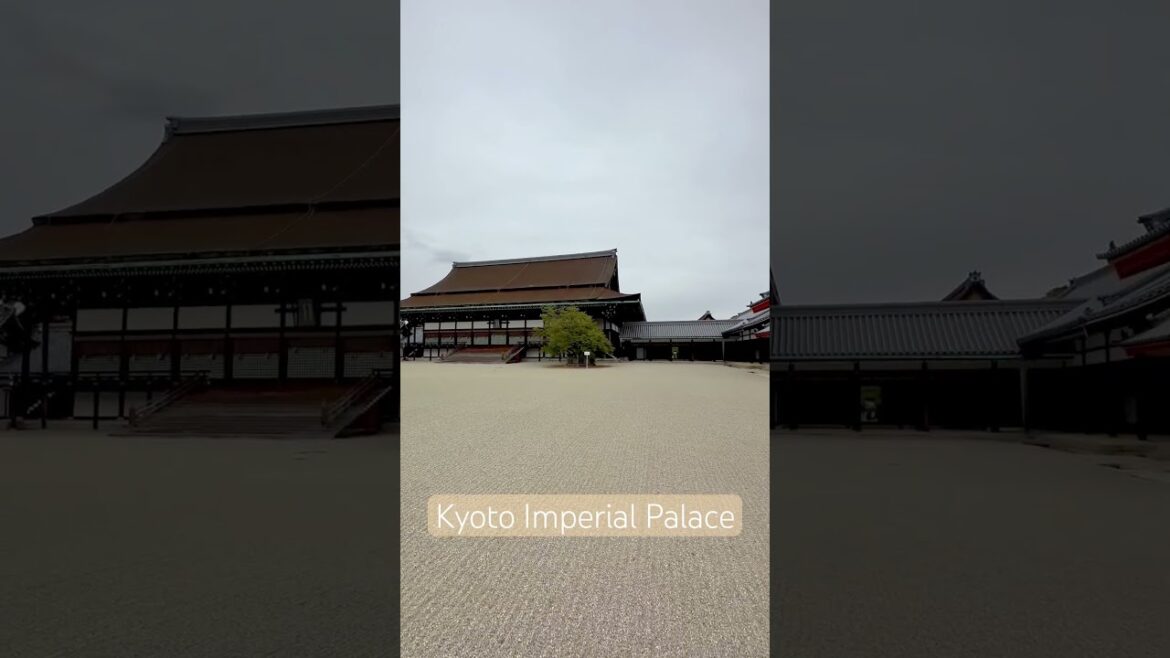 Kyoto Imperial Palace (Kyoto Gyoen) พระราชวังเกียวโต #japan #travel #kyotoimperialpalace