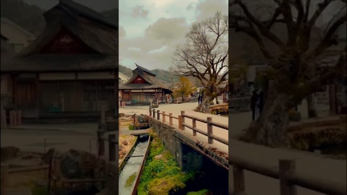 EDO PERIOD JAPANESE VILLAGE #Shorts