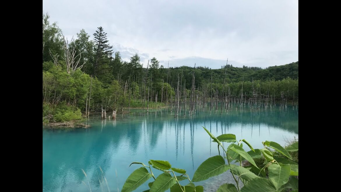 ダイジェスト版　北海道旅行記１日目
